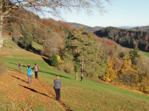 2015-10-31 Les Chainions La haute Borne (113)-50