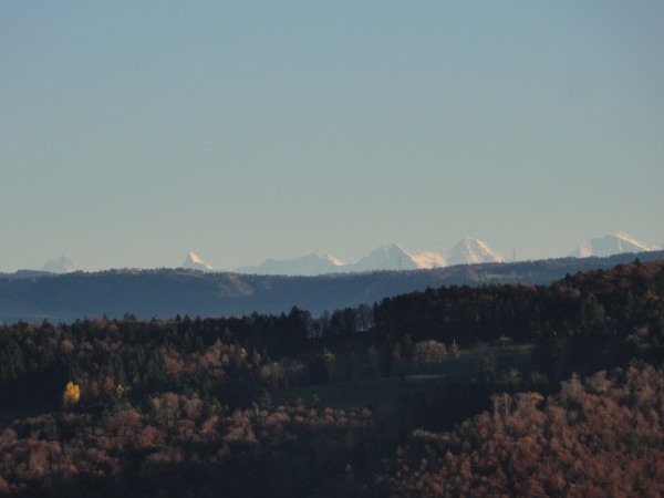 2015-10-31 Les Chainions La haute Borne (125)-50